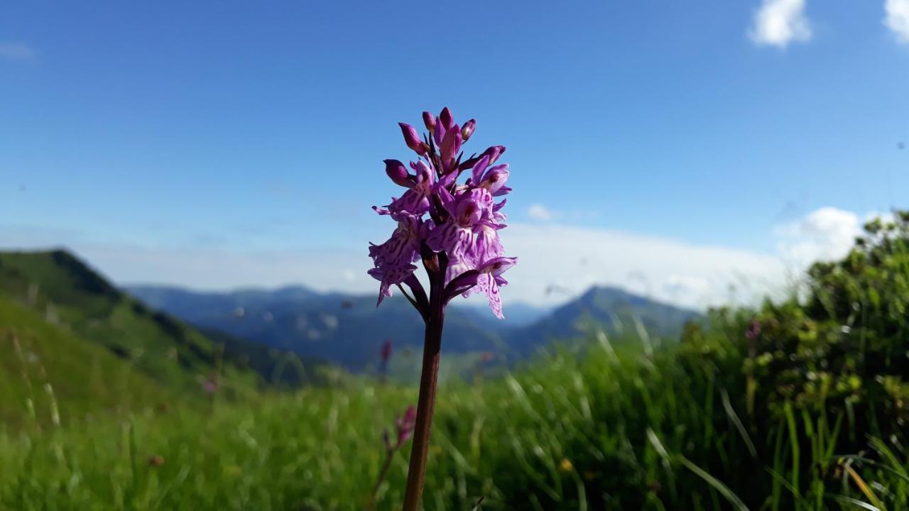 Urlaub Bei Moses Schoppernau Exterior foto